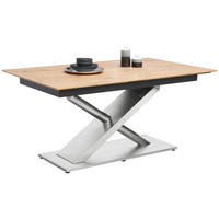 JEDÁLENSKÝ STÔL, 160-210/100/77 cm - farba ušľachtilej ocele, Design, kov/kompozitné drevo (160-210/100/77cm) - Dieter Knoll
