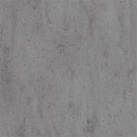 WANDPANEEL Baridecor Aqua Hellgrau  - Hellgrau, Design, Kunststoff (120/30/0,4cm)