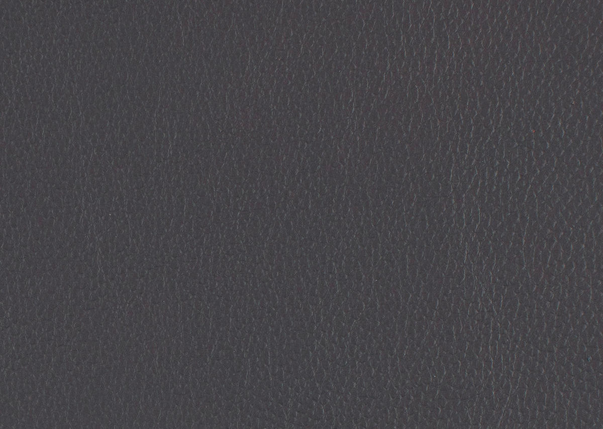 RELAXLIEGE in Echtleder Grau  - Schwarz/Grau, Design, Leder/Metall (120/54-113/158-198cm) - Pure Home Lifestyle