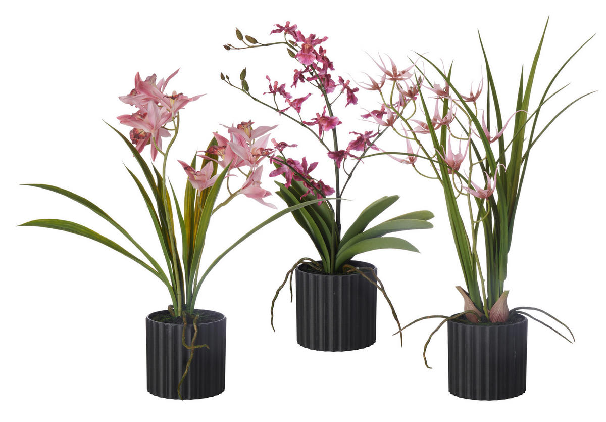 ORHIDEJA - roza/črna, Basics, umetna masa/tekstil (45-55cm)