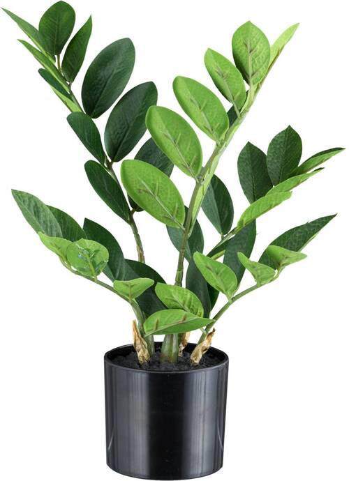 KUNSTPFLANZE 36 cm  - Schwarz/Braun, Design, Kunststoff (36cm) - P & B
