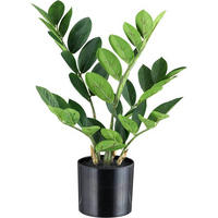 KUNSTPFLANZE 36 cm  - Schwarz/Braun, Design, Kunststoff (36cm) - P & B