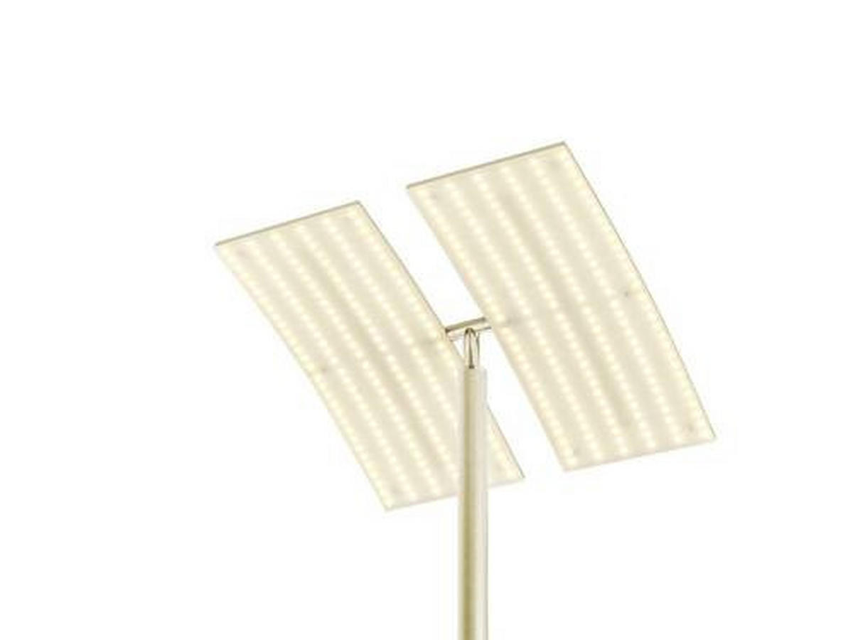 STOJACÍ LED SVÍTIDLO, 31/21/182 cm - šampaňská, Basics, kov (31/21/182cm) - Hell