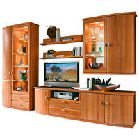 WOHNWAND  in Buchefarben  330/218,7/49,7 cm  - Edelstahlfarben/Buchefarben, KONVENTIONELL, Glas/Holz (330/218,7/49,7cm) - Invivus