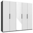 DREHTÜRENSCHRANK  in Graphitfarben, Weiß  - Schwarz/Graphitfarben, KONVENTIONELL, Holzwerkstoff/Metall (250/236/58cm) - Hom`in