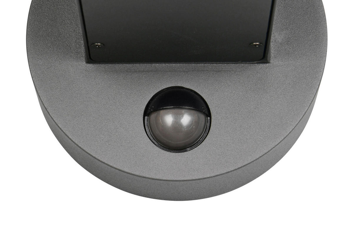 AUSSENWANDLEUCHTE - Anthrazit/Braun, Design, Metall (19/24,5/25cm) - Trio Leuchten