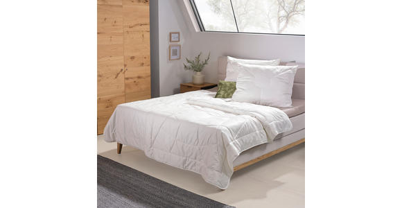 GANZJAHRESDECKE 140/200 cm Klimakomfort  - Basics, Textil (140/200cm) - Sleeptex