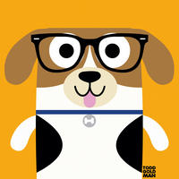 KUNSTDRUCK Tiere 30/30 cm  - Blau/Beige, Basics, Papier (30/30cm) - Monee