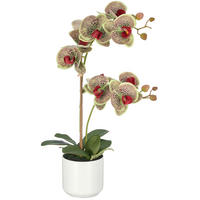 KUNSTBLUME - Weiß/Grün, Basics, Keramik/Kunststoff (58cm)