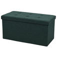 SITZBOX  - Grün, Design, Textil (76/38/38cm) - Carryhome