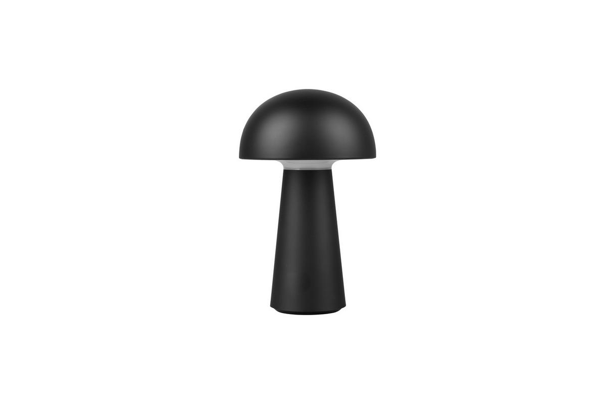 AKKU-TISCHLEUCHTE - Design (13,6/21,5cm)