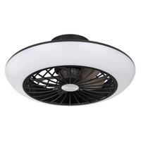 VENTILATOR STROPNI  opalna, crna   crna   - crna/opalna, Basics, metal/plastika (30/12cm)
