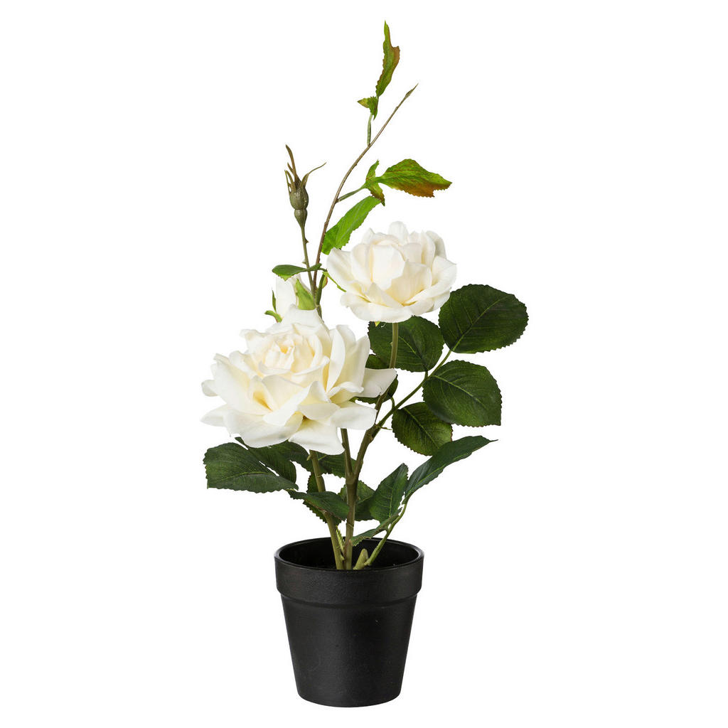 Kunstblume Rosenbusch Creme L: 40cm, Ella