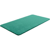 BADEMATTE Grün 70/120 cm  - Grün, Basics, Kunststoff/Textil (70/120cm) - Grund