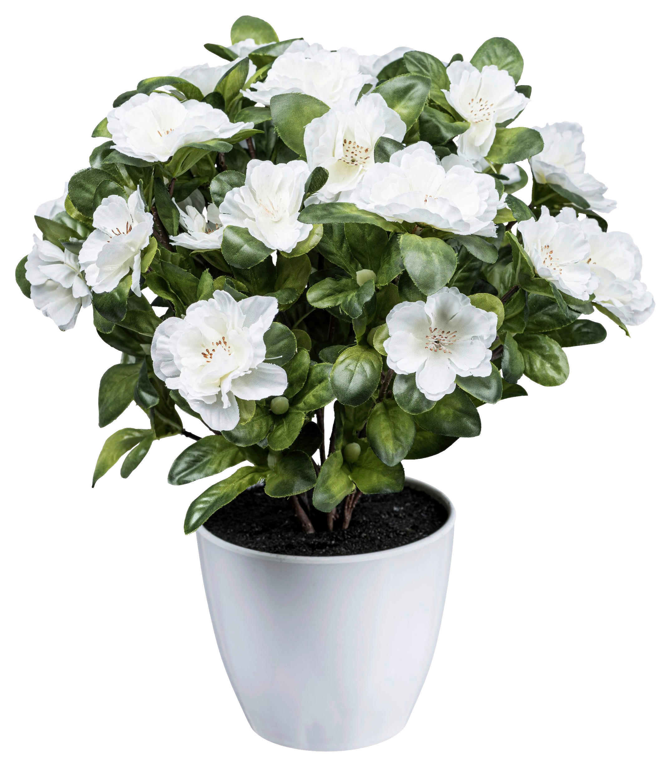 KUNSTPFLANZE 32 cm  - Weiß/Grün, Design, Kunststoff (32cm) - P & B