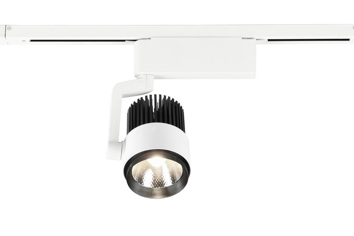 DECKENLEUCHTE 15 W     - Weiß, Basics, Metall (9/23/22,3cm) - Trio Leuchten