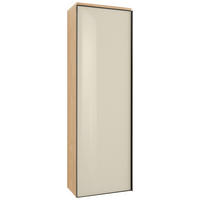 GARDEROBENSCHRANK  in 54/170/31 cm  - Eichefarben/Anthrazit, Design, Glas/Holz (54/170/31cm) - Dieter Knoll
