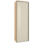GARDEROBENSCHRANK  in 54/170/31 cm  - Eichefarben/Anthrazit, Design, Glas/Holz (54/170/31cm) - Dieter Knoll