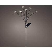 SOLARLEUCHTE - Basics (70cm)