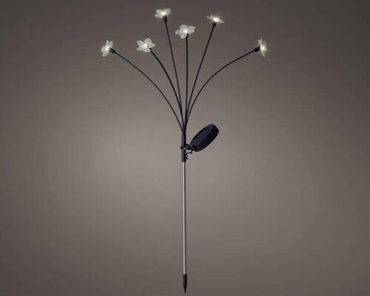 SOLARLEUCHTE - Basics (70cm)