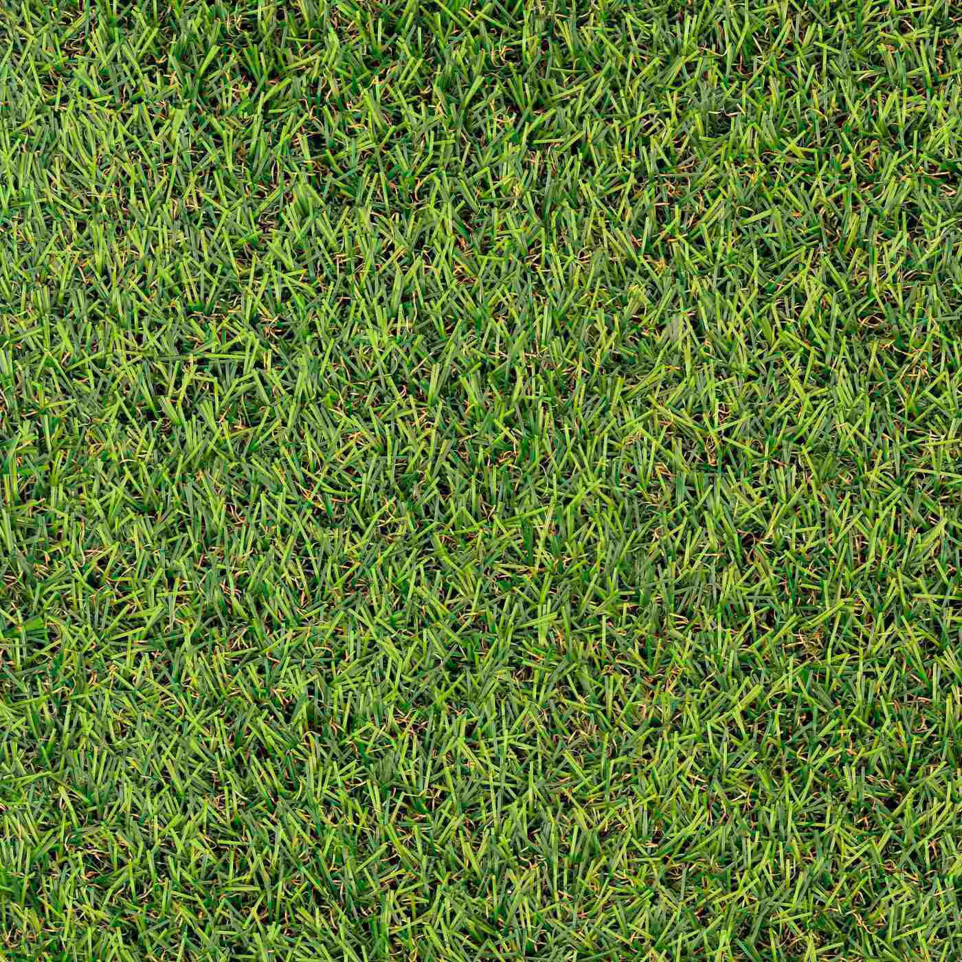 GYEPSZŐNYEG   - Basics, textil (100/400cm) - Boxxx