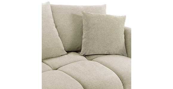 BIGSOFA Flachgewebe Beige - Beige/Schwarz, KONVENTIONELL, Holz/Textil (290/78/115cm) - Carryhome