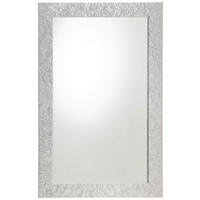 NÁSTĚNNÉ ZRCADLO 70/110/2,8 cm  - barvy stříbra, Konvenční, kompozitní dřevo/sklo (70/110/2,8cm) - Carryhome