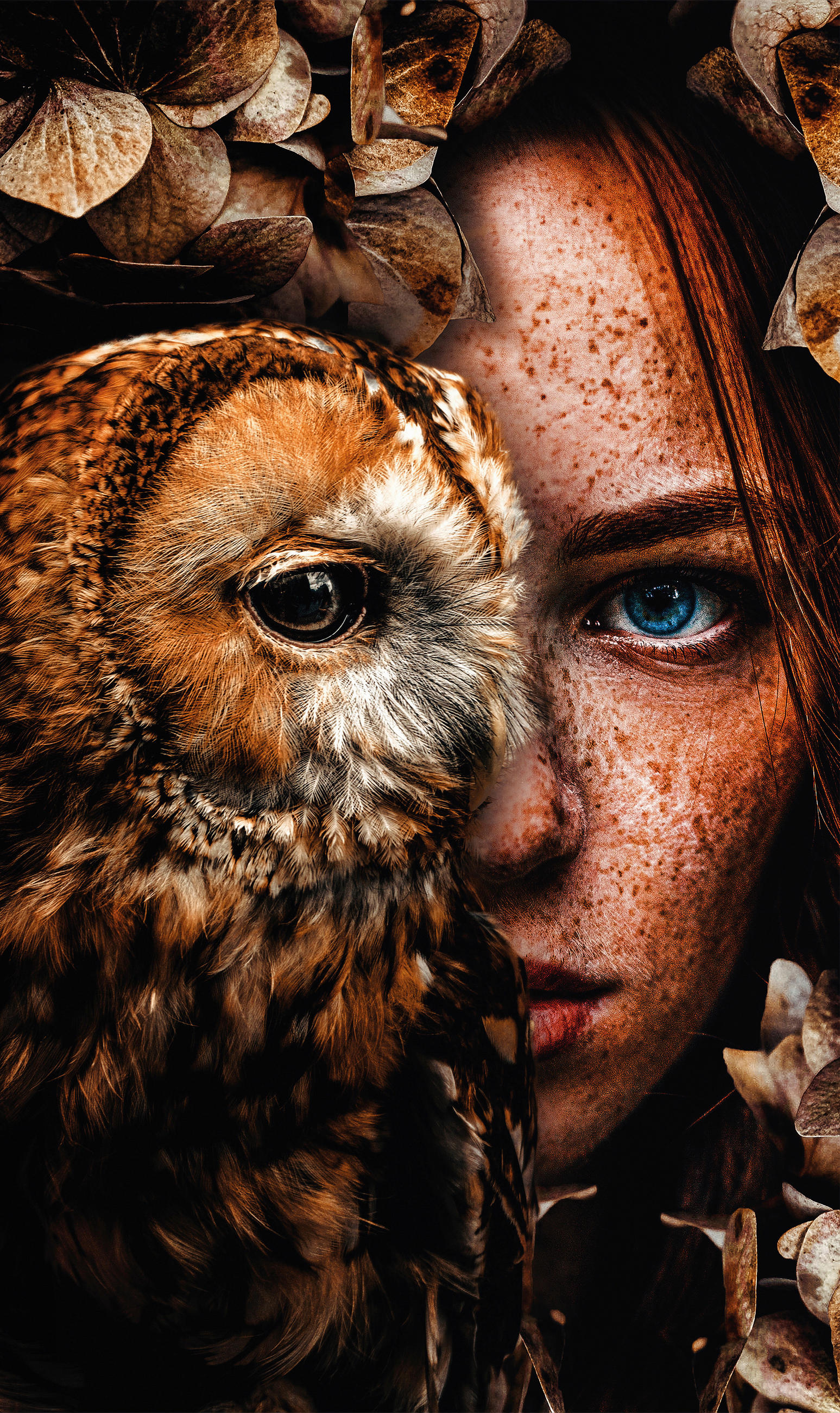 ALUMINIUMBILD 70/118 cm  - Braun, Design, Kunststoff/Metall (70/118cm) - Wandkraft