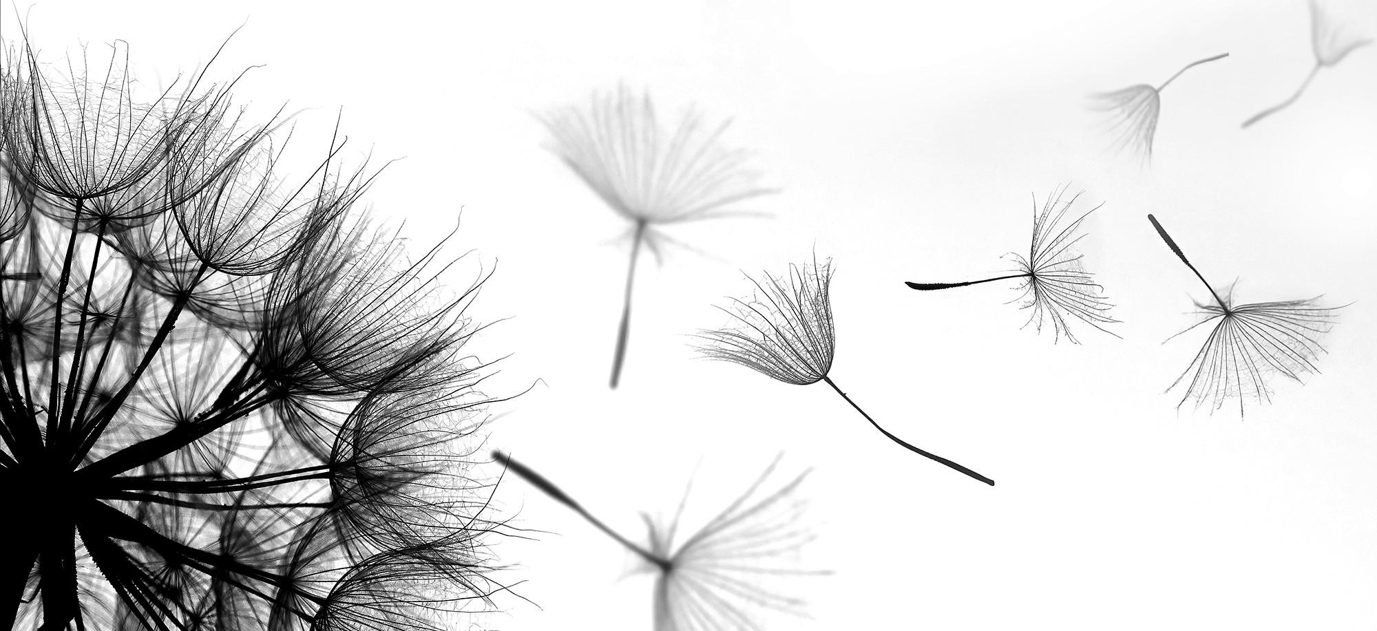 KUNSTDRUCK Landschaft & Natur, Blumen 120/55 cm  - Multicolor, Trend, Holzwerkstoff/Textil (120/55cm) - Monee