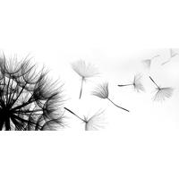 KUNSTDRUCK Landschaft & Natur, Blumen 120/55 cm  - Multicolor, Trend, Holzwerkstoff/Textil (120/55cm) - Monee