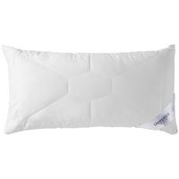KOPFPOLSTER 40/80 cm  Klimakomfort  - Basics, Textil (40/80cm) - Sleeptex