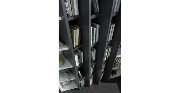 WOHNWAND in Anthrazit, Eichefarben, Weiß - Eichefarben/Anthrazit, Design, Holz/Holzwerkstoff (341/215/47cm) - Dieter Knoll