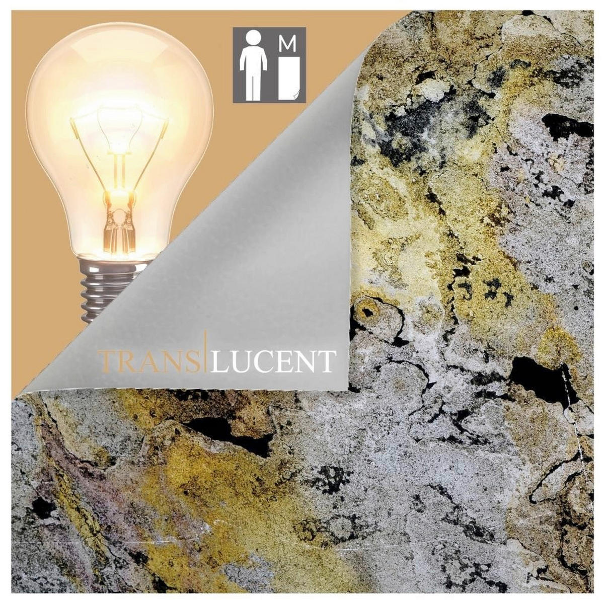 WANDPANEEL Grau, Rot, Schlammfarben, Sandfarben, Beige  - Sandfarben/Schlammfarben, Basics, Kunststoff/Stein (240/120cm)