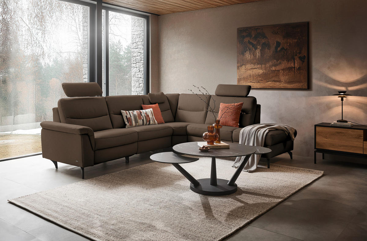 ECKSOFA  in Echtleder Braun  280/249 cm  - Anthrazit/Braun, Design, Leder/Metall (280/249cm) - Himolla Komfortklass
