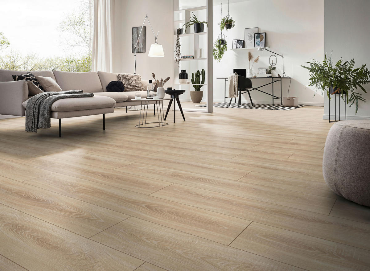 LAMINATBODEN Exquisit Plus  - Eichefarben, KONVENTIONELL, Holz (138.0/24.4/0.8cm)