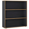 AKTENREGAL 100/110/33 cm  - Honigeiche/Anthrazit, Design, Holzwerkstoff/Kunststoff (100/110/33cm) - MID.YOU