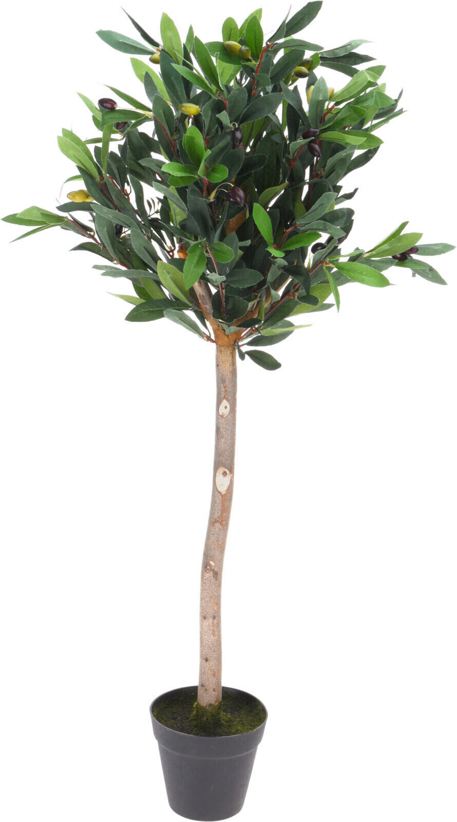 Plantă Artificială - verde, Basics, plastic (94cm)