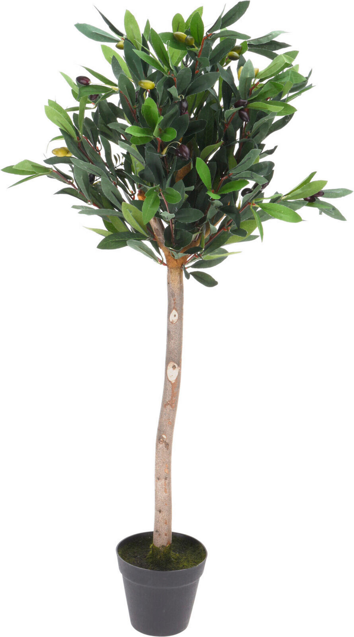 Plantă Artificială - verde, Basics, plastic (94cm)