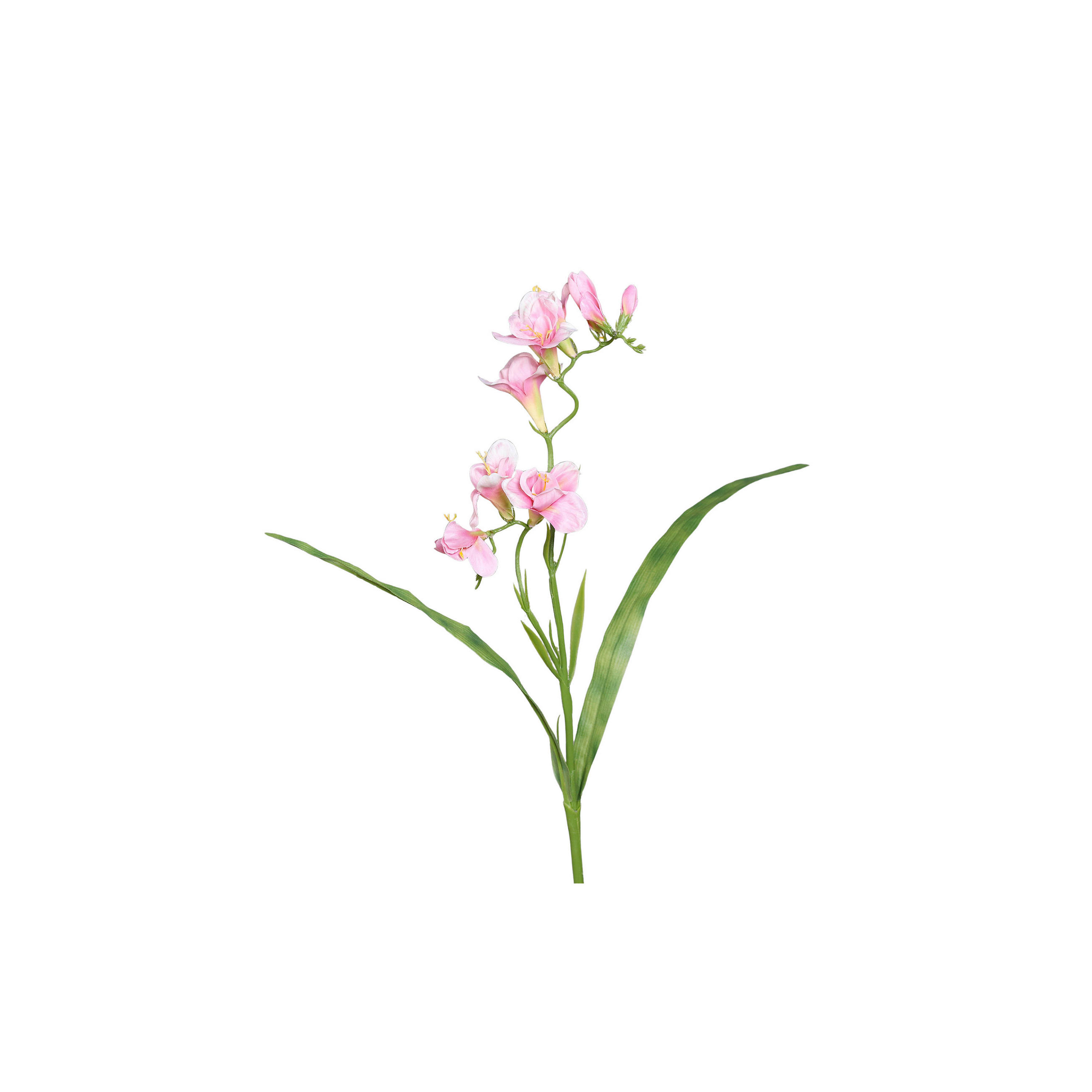 FREESIE - Rosa/Grün, LIFESTYLE, Kunststoff/Textil (56cm)