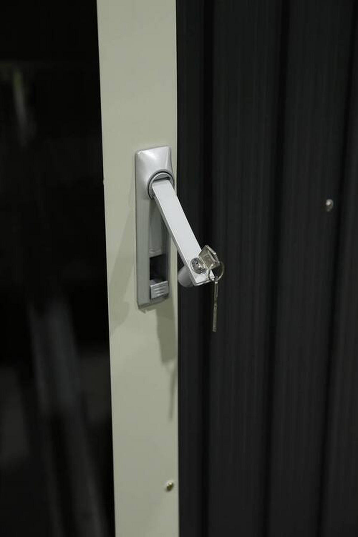 FAHRRADGARAGE 203/158/200 cm  - Anthrazit, Basics, Metall (203/158/200cm) - Ambia Garden