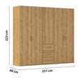 DREHTÜRENSCHRANK in Eichefarben - Eichefarben, Design, Holzwerkstoff/Kunststoff (251/223/60cm) - Novel