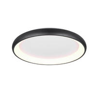 STROPNÉ LED SVIETIDLO, 75/9,5 cm  - čierna, Design, kov (75/9,5cm) - Trio Leuchten