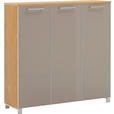 SCHUHSCHRANK Santina  in 126/126/37 cm  - Taupe/Chromfarben, Design, Glas/Holz (126/126/37cm) - Novel