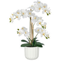 KUNSTBLUME Orchidee  - Weiß/Grün, Basics, Kunststoff (70cm)