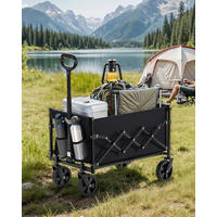 BOLLERWAGEN Schwarz 67/42/90,5 cm  - Schwarz, Basics, Textil/Metall (67/42/90,5cm)
