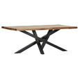 TISCHPLATTE      - Sheeshamfarben, Design, Holz (200/100/5cm) - Landscape