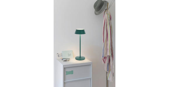 AKKU-TISCHLEUCHTE 11/30 cm  - Dunkelgrün/Schwarz, Trend, Kunststoff/Metall (11/30cm) - Novel