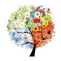 SAMOLEPKA NA ZEĎ - vícebarevná, Basics, plast (50/70/0,10cm) - Euroart