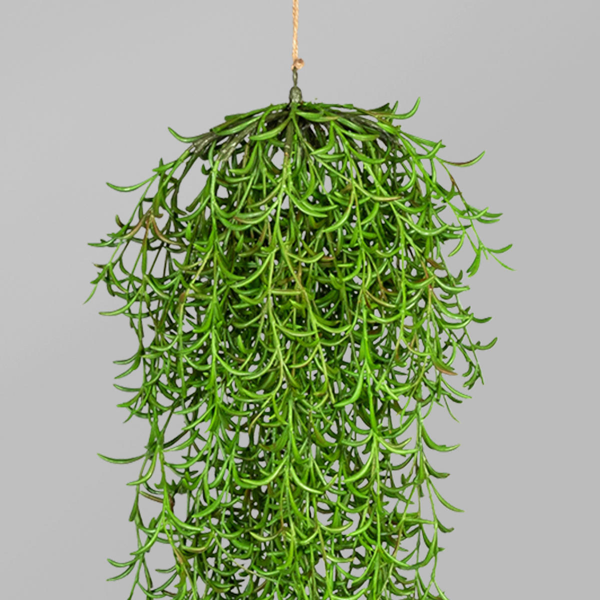 KUNSTPFLANZE 110 cm  - Grün, Basics, Kunststoff (110cm) - P & B