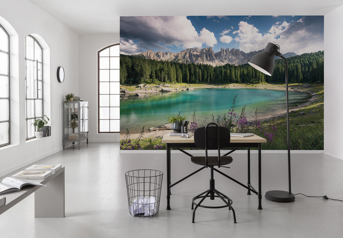 FOTOTAPETE  - Multicolor, Trend, Textil (450/280cm) - Xora